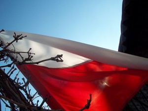 Fot. Ewelina Michałowicz ze Zglińca (kl.1bg Zespół Szkół w Krzywiniu). Zdjęcie zrobione obok mojego domu.