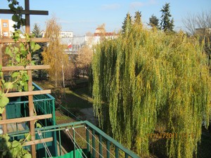 Fot. Stefan Nowacki. Jesień na osiedlu Piastowskim 11.11.11