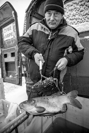 Sprzedawca karpi. Przy rynku ulokował się Pan sprzedający ryby z przeznaczeniem na świąteczną konsumpcję. Zapewniał o dobrym pochodzeniu karpi i narzekał trochę na niskie ceny karpia w Tesco.  Świadczył również usługę uśmiercania od ręki i prowadził zapisy na kolejne dni oferując inne ryby, również filetowane. Klienci (głównie kobiety) w obecności obiektywu wstydziły się nieco foliowych toreb, do których i tak wciskały żywe karpie. 