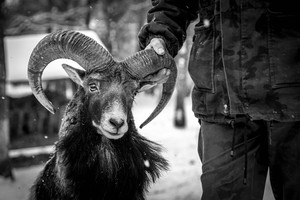 Stacja Badawcza PZŁ