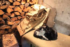 Opactwo benedyktynów w Lubiniu