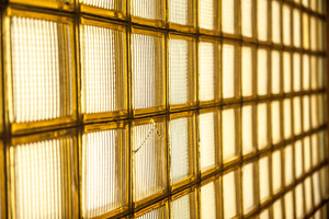 Szkoła Podstawowa nr 4 w Kościanie, klasa VI C. Natalia lat 12. Moje plany na przyszłość: zamierzam zwiedzić świat, skoczyć ze spadochronem oraz założyć firmę.