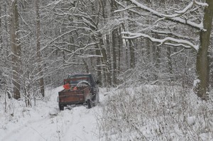 Pracownicy czempińskiej Stacji Badawczej Polskiego Związku Łowieckiego dokarmiają leśne zwierzęta