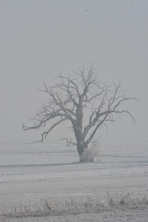 Okolice wsi Nielęgowo