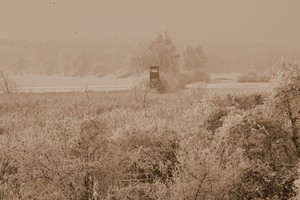 Okolice zalewu nad Jeziorem Wonieść