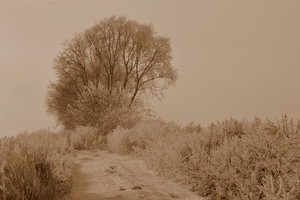 Okolice zalewu nad Jeziorem Wonieść
