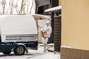 Wizyta w ubojni w Poninie. Trafiliśmy na jeden z tzw.dni produkcji, kiedy to zabija się świnie i bydło.
