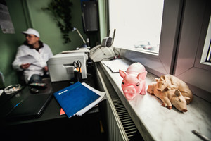 bojnia w Poninie.  Pan Roman Prałat jest współwłaścicielem ubojni, która istnieje od 1993 roku i obecnie zatrudnia 14 osób.