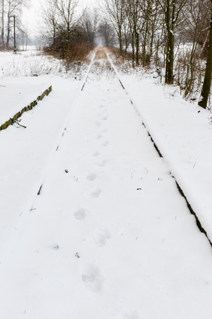 Czy wszystkie drogi prowadzą do Rzymu? Wydaje mi się, że jakiś odważny śmiałek postanowił to sprawdzić. 