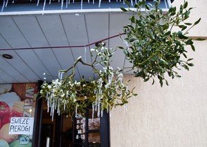 Anna Ryl. Fotografia przedstawia świąteczne jemioły. Zdjęcie zrobiłam przed warzywniakiem przy ul. Sierakowskiego w trakcie przedświątecznych zakupów.