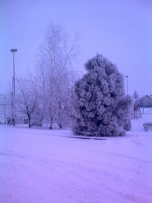 Fot. Patrycja Żur. Zimowy plener między szkołą a placem zabaw w Starych Oborzyskach. Zdjęcie wykonano przed lekcjami w gimnazjum, ok. godz. 7.50. Autorka jest uczestniczką Koła FOTO-WIDEO z Gimnazjum im. Jana Pawła II w Starych Oborzyskach.