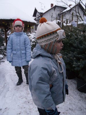  Maja i Franek poszukują najładniejszych choinek w firmie Ogrodnictwo Karol Flak w Kościanie. Fot. Michał Olszewski
