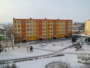 Fot. Emilia Chrzanowska. Sikorka w karmniku na balkonie (czwarte piętro) na os. Jagiellońskim w Kościanie. 