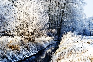  Autor - Piotr Ciesielski (16 lat). Moje ulubione miejsca w  okolicy wsi Czacz.