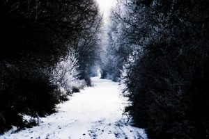 Autor - Piotr Ciesielski (16 lat). Moje ulubione miejsca w  okolicy wsi Czacz.