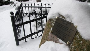 Autor: Wojciech Szymajda. Zdjęcie przedstawia cis pospolity pobłogosławiony przez  papieża  Benedykta XVI znajdujący się przed opactwem benedyktyńskim w Lubiniu. 