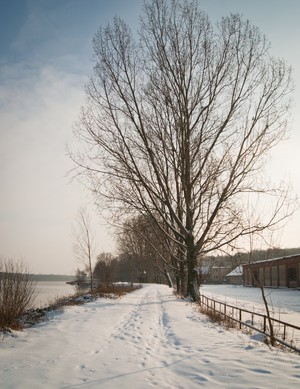 Autor: Marcelina Krysiak. Widok na wał i jezioro wonieskie.